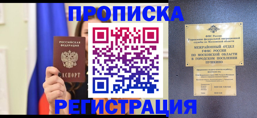 где прописаться в Нелидово